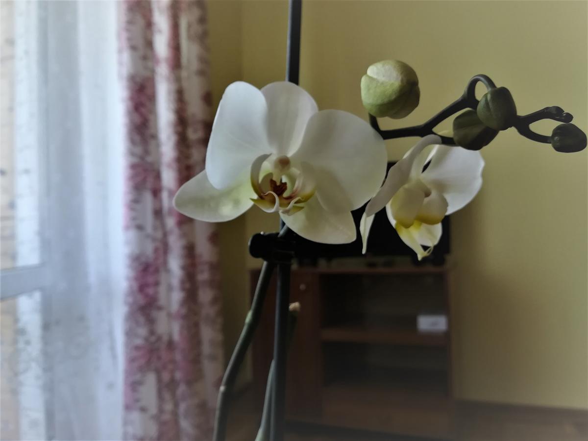 Apartament Na Adamkovskoy Apartment เบรสต์ ภายนอก รูปภาพ